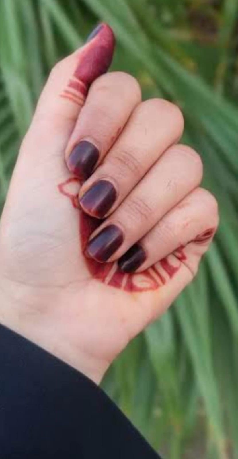 Gur Wala Nakhun Ka Araq - Dark Nail Henna Cones Pack of 3 Price 700 | Saira Nasir